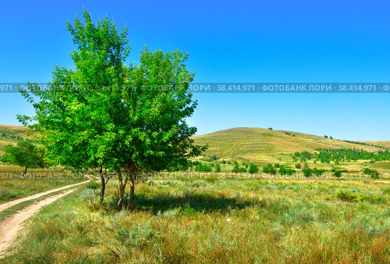 Golden hills of the Minusinsk basin. Стоковое фото, фотограф ArhSib / Фотобанк Лори