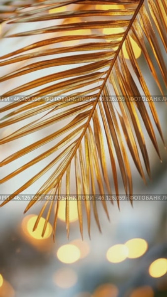 Golden palm leaf gently swaying against blurred lights. Стоковое AI-видео, аниматор Юрий Поздников / Фотобанк Лори