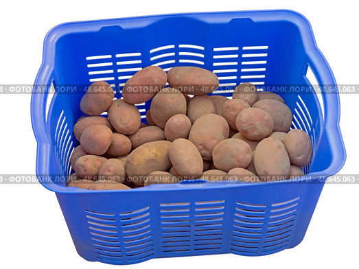 Голубой пластиковый контейнер с картошкой. Plastic box with potatoes on white background. Стоковое фото, фотограф Татьяна Д / Фотобанк Лори
