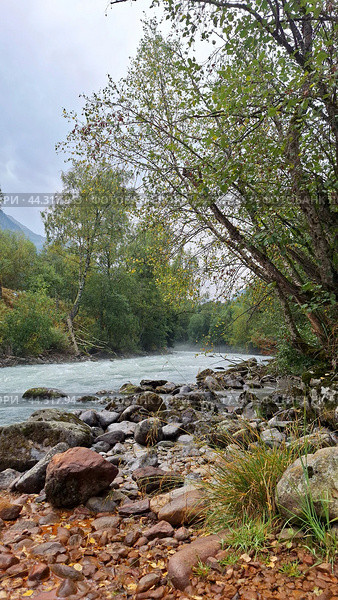 Горная река Махар. Водный пейзаж. Стоковое фото, фотограф Алла Толочек / Фотобанк Лори