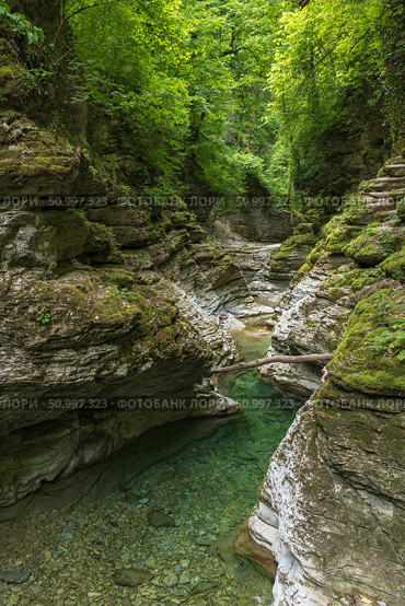 Горное ущелье с прозрачной рекой и зелёной растительностью.  Mountain gorge with a clear river and green vegetation. Стоковое фото, фотограф Михеев Эдуард / Фотобанк Лори