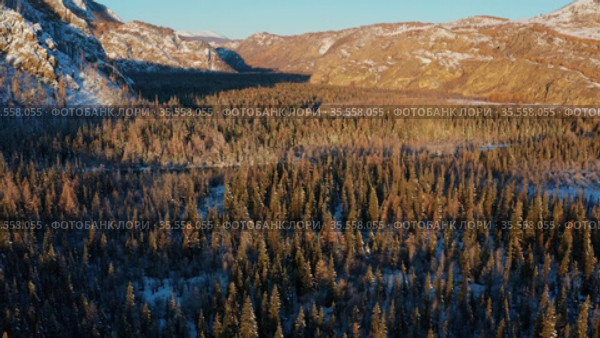 Горный Алтай осенью. Река Чуя. Вид с высоты птичьего полета. Altai mountains in autumn. Chuya river. Aerial view. Стоковое видео, видеограф Евгений Романов / Фотобанк Лори