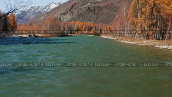Горный Алтай осенью. Река Чуя. Вид с высоты птичьего полета. Altai mountains in autumn. Chuya river. Aerial view. Стоковое видео, видеограф Евгений Романов / Фотобанк Лори