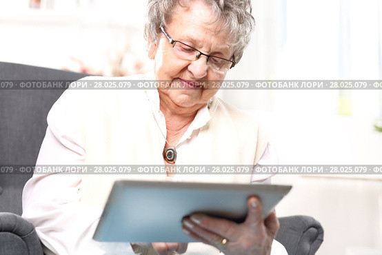 grandma and the computer. an elderly woman with a tablet. retired,entertainment on the internet. Стоковое фото, фотограф Robert Przybysz / PantherMedia / Фотобанк Лори