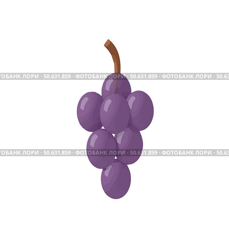 Grapes bunch, on white background, fresh, juicy, vibrant design, purple colors, fruit concept. Стоковое AI-изображение, AI-художник Елена Скрипкина / Фотобанк Лори