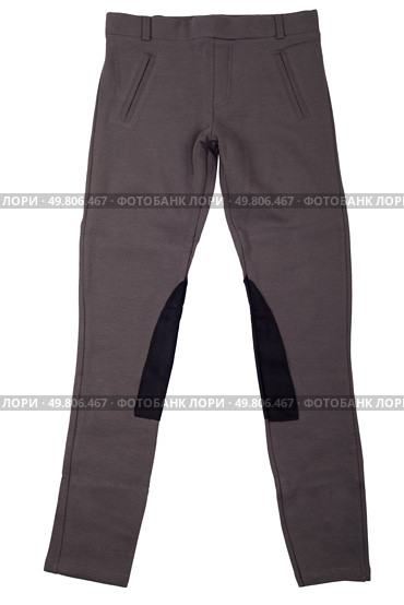 Gray breeches isolated on white background.Серые бриджи, изолированные на белом фоне. Стоковое фото, фотограф Александр Рыбалка / Фотобанк Лори