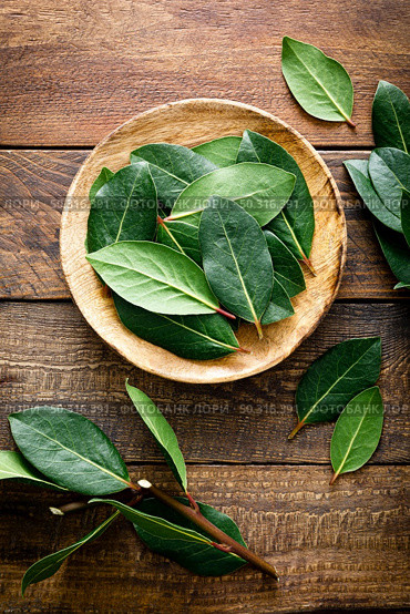 Green bay leaves on wooden background. Laurel leaf. Bay laurel leaves. Стоковое фото, агентство Ingram Publishing / Фотобанк Лори