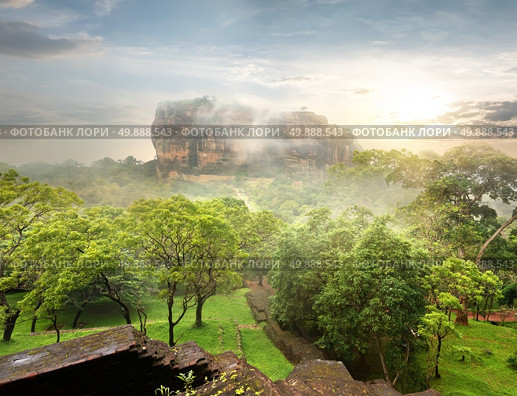 Green garden near Sigiriya at sunrise, Sri Lanka. Стоковое фото, агентство Ingram Publishing / Фотобанк Лори