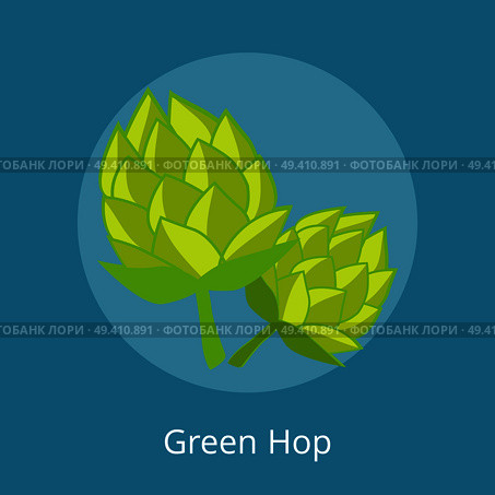 Green hop vector illustration isolated on blue background. Plant widely cultivated for use by the brewing industry, main flavor ingredient in beer. Green Hop Vector Illustration Isolated Icons. Стоковая иллюстрация, агентство Ingram Publishing / Фотобанк Лори