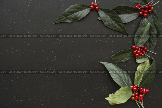 green leaflets with berries. Стоковое фото, агентство Ingram Publishing / Фотобанк Лори
