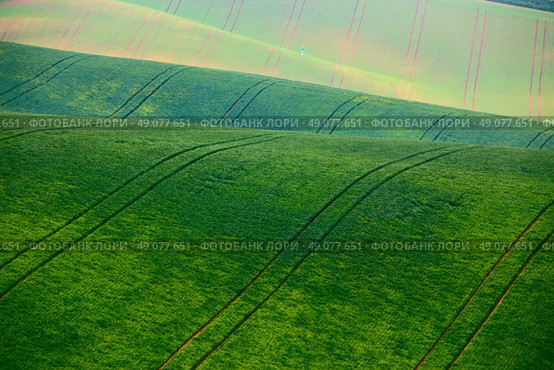 Green spring hills. Arable lands in Moravia. Стоковое фото, агентство Ingram Publishing / Фотобанк Лори