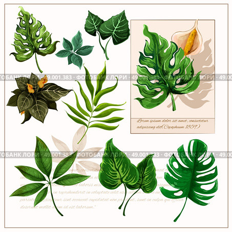Green tropical leaves pictograms set. Exotic tropical rainforest plants opulent green leaves pictograms collection with watercolor sketch icon abstract isolated vector illustration. Стоковая иллюстрация, агентство Ingram Publishing / Фотобанк Лори