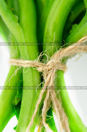 Green vegetables tied with rafia closeup. Стоковое фото, агентство Ingram Publishing / Фотобанк Лори
