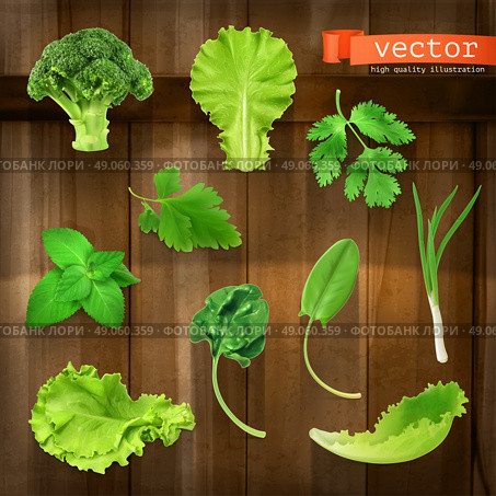 Greens, vector icon set on wooden board. Стоковая иллюстрация, агентство Ingram Publishing / Фотобанк Лори