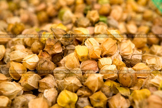 Ground Husk Cherry Tomatoes from a local market. Стоковое фото, агентство Ingram Publishing / Фотобанк Лори