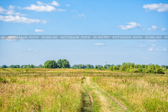 Грунтовая дорога среди лугов (Артёмовские луга) Стоковое фото, фотограф Илья Старков / Фотобанк Лори
