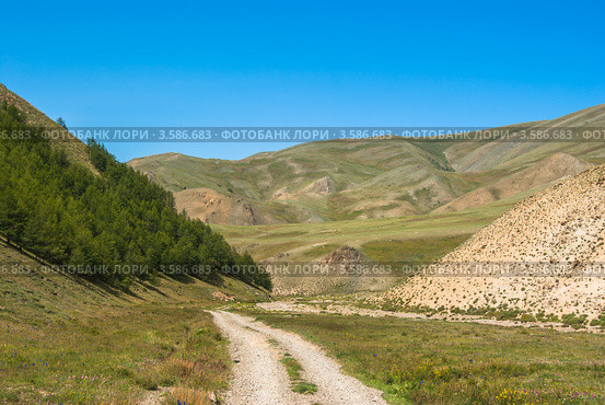 Грунтовая дорога в горной долине, Алтай. Стоковое фото, фотограф Михаил Павлов / Фотобанк Лори