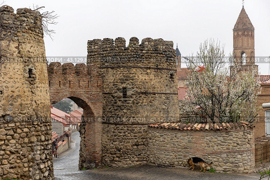 Грузия. Сигнахи. Стены исторической крепости в центре города. Georgia. Sighnaghi. The walls of the historical fortress in the city center. (2024 год). Стоковое фото, фотограф Алексей Смышляев / Фотобанк Лори