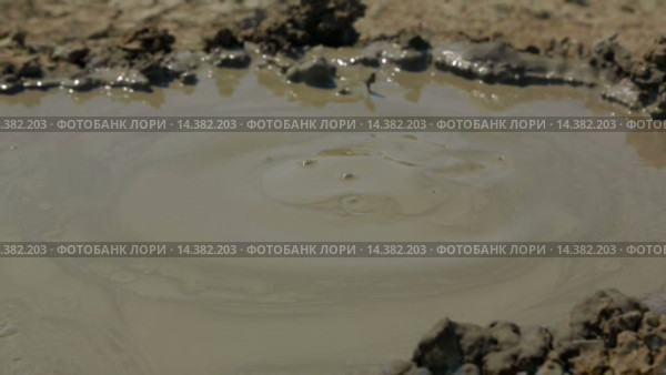 Грязь пузырится. Стоковое видео, видеограф Владимир Кравченко / Фотобанк Лори