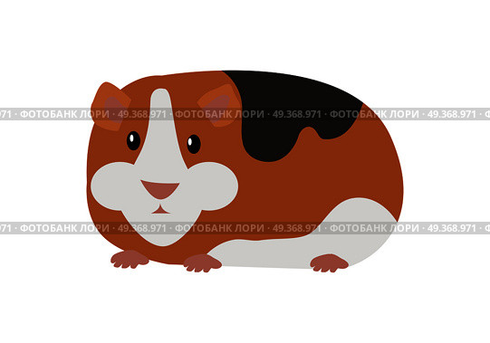Guinea Pig Cavia Porcellus Isolated Cartoon Animal. Guinea pig cavia porcellus. Cavy or domestic guinea pig, species of rodent. Plays important role in folk culture of South American, as food source, folk medicine and religious ceremonies. Vector. Стоковая иллюстрация, агентство Ingram Publishing / Фотобанк Лори