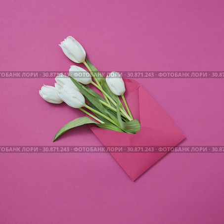 Handmade envelope with fresh white tulips on a magenta background. Стоковое фото, фотограф Ярослав Данильченко / Фотобанк Лори
