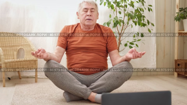 Happy Elderly Man Watching Online Tutorials On Laptop, Training At Home, Sitting On Floor. Cozy Living Room. Retired Male Learning Exercise. Senior Man Doing Yoga Indoor. Anti Age, Sport, Reaching Zen. Стоковое видео, видеограф Марина Демидюк / Фотобанк Лори