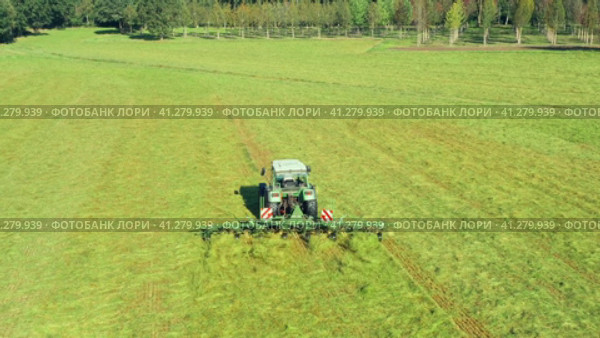 Harvesting and drying hay. The grass tedder turns freshly cut grass. Drone photo. Стоковое видео, видеограф Артем Лукин / Фотобанк Лори