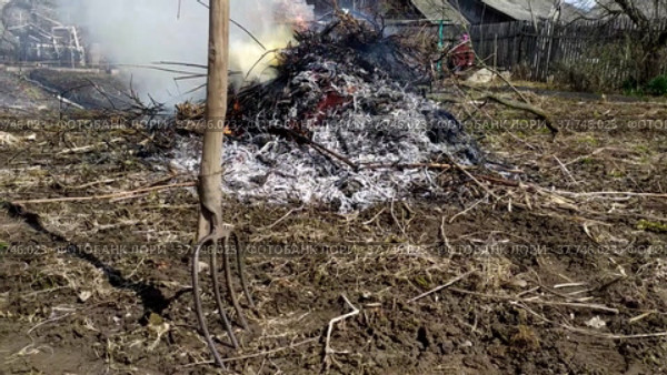 Harvesting in the garden. Bonfire. Burning garbage at the party. Grass is burning. Стоковое видео, видеограф Лилия Фролова / Фотобанк Лори