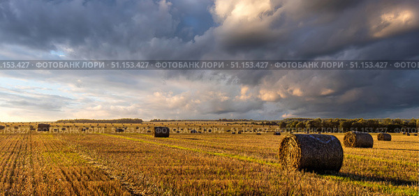Haystack bale on a golden field landscape at sunset. Rural agricultural scene with bales of hay. Countryside harvest concept. Стоковое фото, фотограф Емельянов Евгений Викторович / Фотобанк Лори