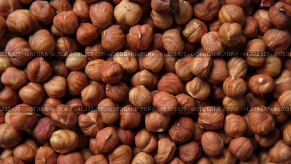 Hazelnuts harvest. Filbert video wallpaper. Full frame of hazel. Cobnut background. Peeled brown nut kernels. Healthy organic bio products. Vegetarian, vegan and raw food. Back to nature. Healthy fat. Стоковое видео, видеограф Марина Демидюк / Фотобанк Лори