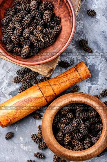 Healing cones of alder in a mortar.Alder seedlings.Herbal medicine. Healing alder cones. Стоковое фото, агентство Ingram Publishing / Фотобанк Лори