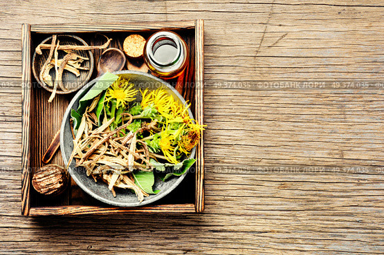 Healing elixir from the root of inula.Set healing herbs. Root and tincture of elecampane. Стоковое фото, агентство Ingram Publishing / Фотобанк Лори