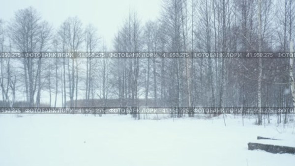 Heavy snowfall. Beautiful forest landscape of snow and blurred trees. Gently falling snow flakes. Bad snowy weather cold day. Winter nature background. Nobody, No People, Super Slow motion. Snowstorm. Стоковое видео, видеограф Марина Демидюк / Фотобанк Лори