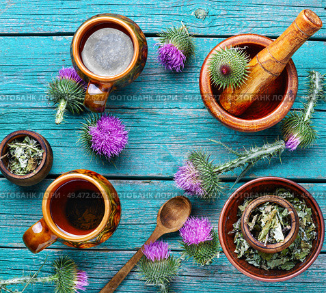 Herbal tea.Medical plants flowers.Milk thistle or Silybum marianum. Herbal tea wih milk thistle. Стоковое фото, агентство Ingram Publishing / Фотобанк Лори