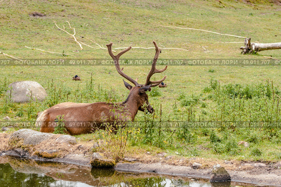 High resolution photo in best quality. Стоковое фото, агентство Ingram Publishing / Фотобанк Лори