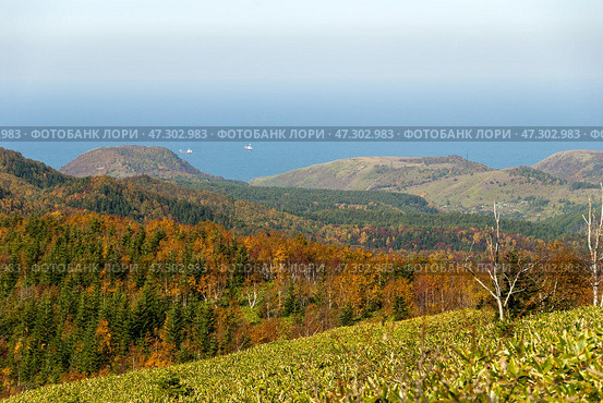 Холмский перевал. (Россия, Сахалин, Холмск) Стоковое фото, фотограф Вячеслав Иванов / Фотобанк Лори