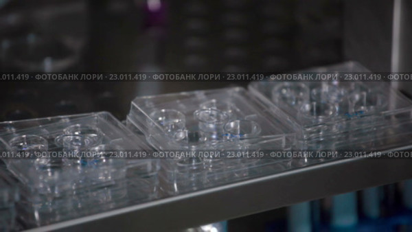 Хранение замороженных яйцеклеток в медицинском холодильнике. Стоковое видео, видеограф Илья Насакин / Фотобанк Лори