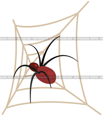 Huge spider sits on spiderweb with top view, vector halloween, scary and haunted elements. Dangerous insect, tarantula in woven web. Arthropod insect, poisonous spider isolated on white background. Dangerous insect, tarantula in woven web. Arthropod insect, poisonous spider sitting on spiderweb. Стоковая иллюстрация, агентство Ingram Publishing / Фотобанк Лори