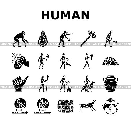 human evolution man caveman icons set vector. Стоковая иллюстрация, иллюстратор Vectorwin / Фотобанк Лори