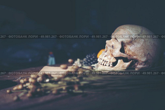 Human skull, Halloween concept, vintage filter image. Стоковое фото, агентство Ingram Publishing / Фотобанк Лори