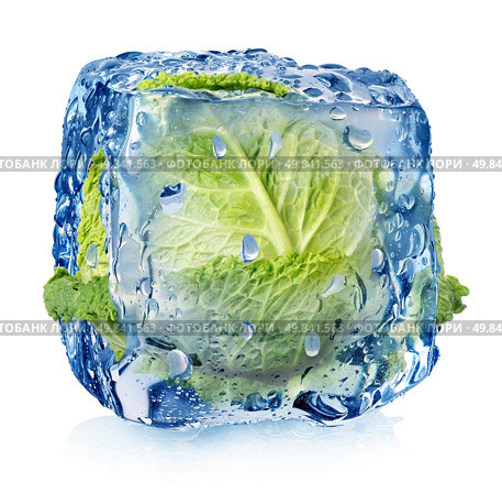 Ice cube with brussel sprouts isolated on white. Стоковое фото, агентство Ingram Publishing / Фотобанк Лори