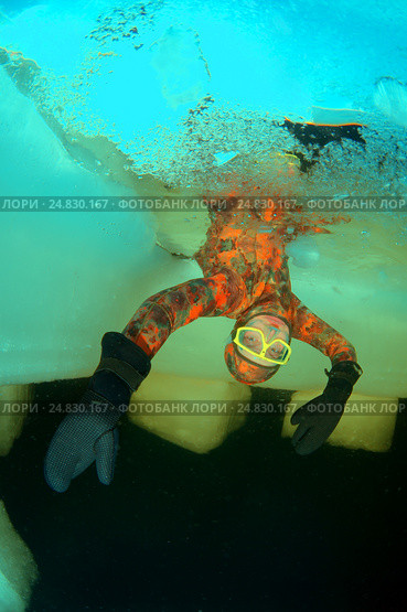 Ice diving, free diving, Kareliya, White sea (2009 год). Редакционное фото, фотограф Некрасов Андрей / Фотобанк Лори