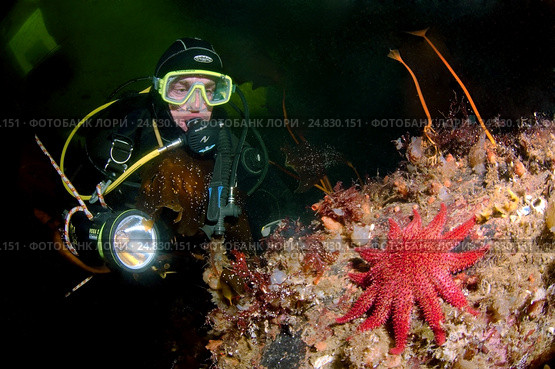 Ice diving in Russian Arctic (2009 год). Редакционное фото, фотограф Некрасов Андрей / Фотобанк Лори