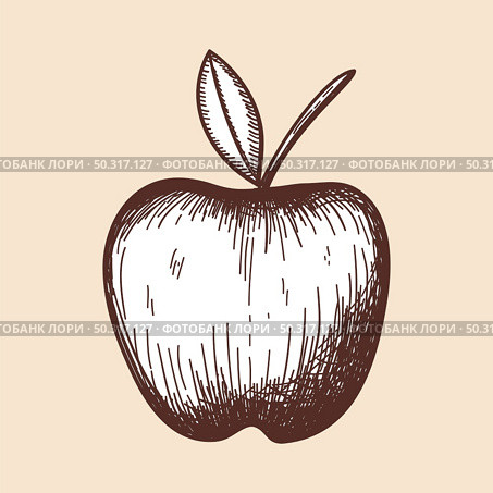 Icon Of Apple. Hand Drawn Sketch. Retro Vintage Design.  Vector Illustration. Стоковая иллюстрация, агентство Ingram Publishing / Фотобанк Лори
