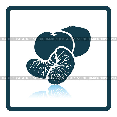 Icon of Mandarin. Shadow reflection design. Vector illustration. Стоковая иллюстрация, агентство Ingram Publishing / Фотобанк Лори