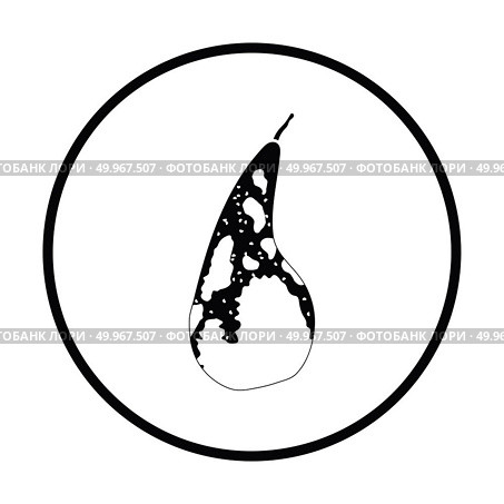 Icon of Pear. Thin circle design. Vector illustration. Стоковая иллюстрация, агентство Ingram Publishing / Фотобанк Лори