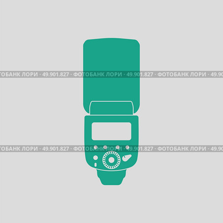 Icon of portable photo flash. Gray background with green. Vector illustration. Стоковая иллюстрация, агентство Ingram Publishing / Фотобанк Лори
