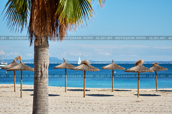 Idyllic scenery, concept of summer holidays, palm tree and straw parasols in a row on the coast of Mediterranean Sea, Majorca Island, Baleares, Spain (2018 год). Стоковое фото, фотограф Alexander Tihonovs / Фотобанк Лори