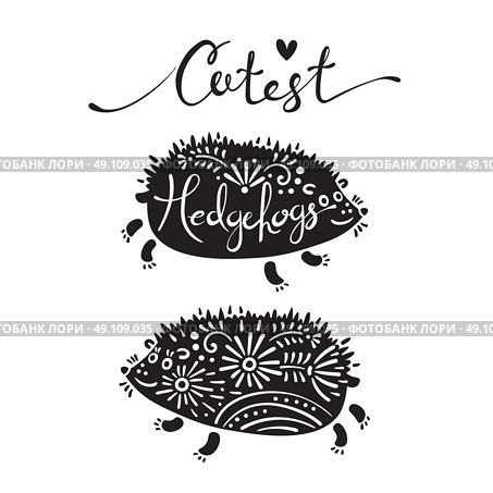Illustration of cutest hedgehogs with flowers. Vector illustration of cutest hedgehogs with flowers. Стоковая иллюстрация, агентство Ingram Publishing / Фотобанк Лори
