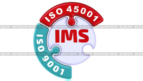 IMS. ISO Integrated Management System. The check mark in the form of a puzzle. Стоковая анимация, аниматор WalDeMarus / Фотобанк Лори